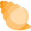 Conch shell アイコン 64x64