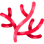 Coral icon 64x64