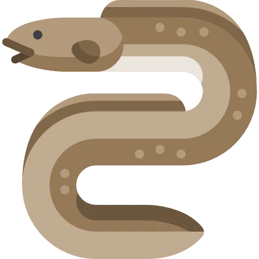 Eel icon