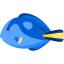 Surgeon fish icon 64x64