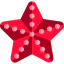 Starfish icon 64x64