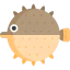 Blowfish icon 64x64