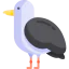 Seagull icon 64x64