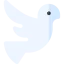 Dove icon 64x64