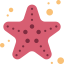 Starfish icon 64x64