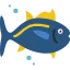 Tuna icon 64x64