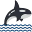 Orca icon 64x64
