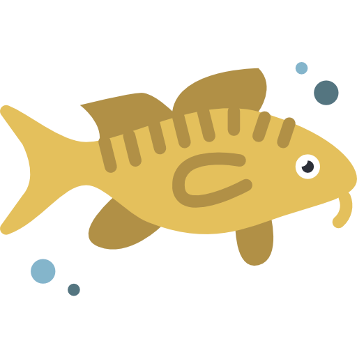 Cod icon