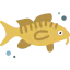 Cod icon 64x64