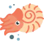 Nautilus Ikona 64x64