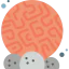 Coral icon 64x64