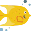 Angelfish icon 64x64