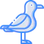 Seagull icon 64x64