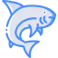 Shark icon 64x64