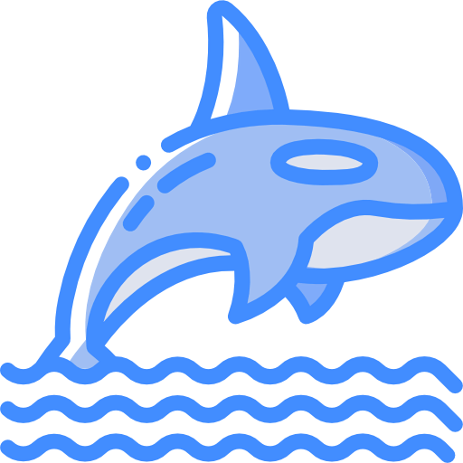 Orca icon