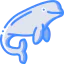 Beluga icon 64x64
