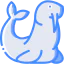 Walrus icon 64x64