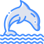 Dolphin icon 64x64