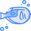 Surgeon fish icon 64x64