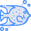 Angelfish icon 64x64