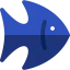 Fish ícono 64x64