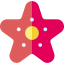 Starfish ícono 64x64