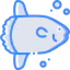 Sunfish icon 64x64
