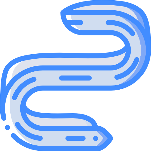 Eel icon