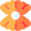 Shell icône 64x64