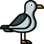 Seagull icon 64x64