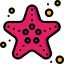 Starfish icon 64x64