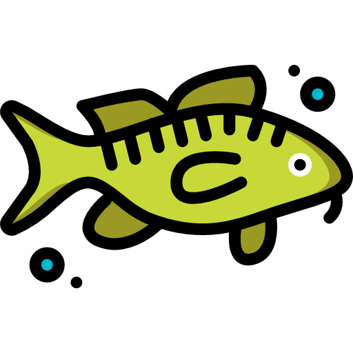 Cod icon