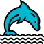 Dolphin icon 64x64