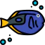 Surgeon fish icon 64x64