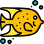 Angelfish icon 64x64