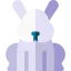 Rabbit icon 64x64