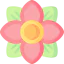 Flower icon 64x64