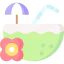 Coconut drink icon 64x64