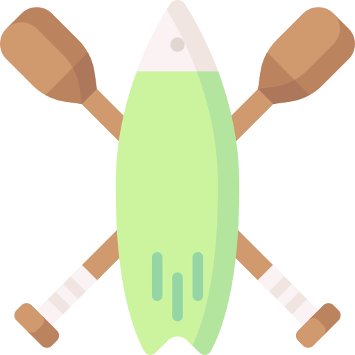 Paddle icon
