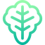 Lettuce icon 64x64