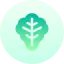 Lettuce icon 64x64
