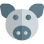 Swine icon 64x64