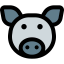 Swine icon 64x64