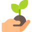 Sprout icon 64x64