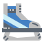 Skate icon 64x64