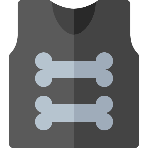 Armor icon