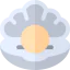 Pearl icon 64x64
