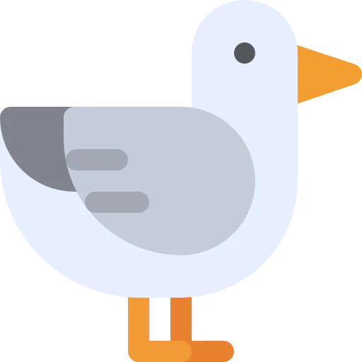 Seagull icon