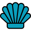 Shell icône 64x64