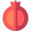 Pomegranate icon 64x64